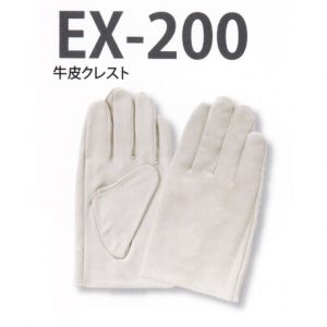 EX-200