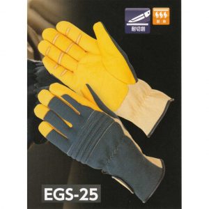EGS25