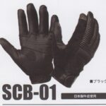 SCB01