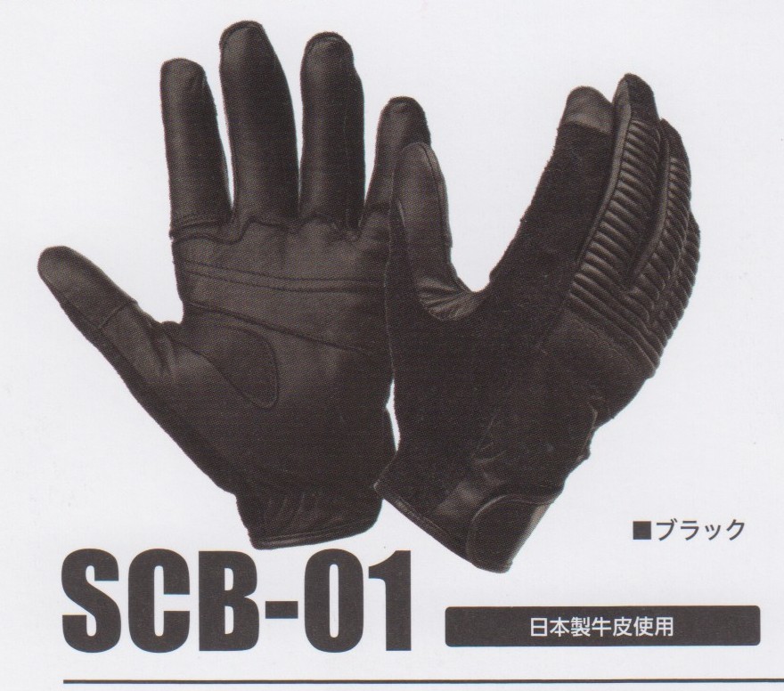 SCB01